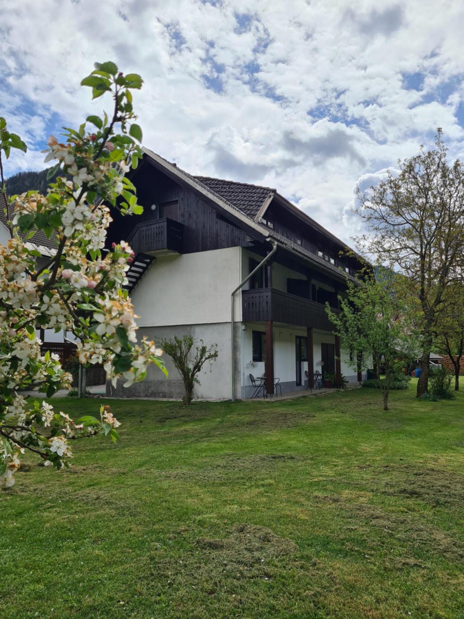 Gostilna Batist Bed & Breakfast Bohinjska Bela Exterior photo